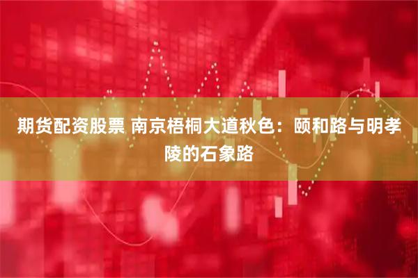 期货配资股票 南京梧桐大道秋色：颐和路与明孝陵的石象路