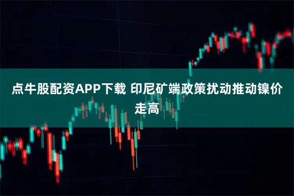 点牛股配资APP下载 印尼矿端政策扰动推动镍价走高
