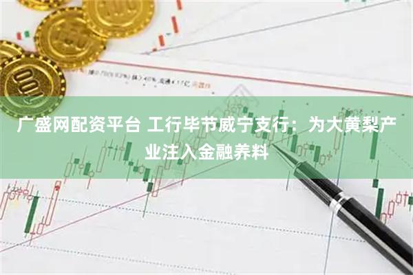 广盛网配资平台 工行毕节威宁支行：为大黄梨产业注入金融养料