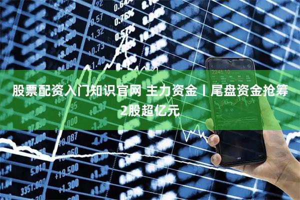 股票配资入门知识官网 主力资金丨尾盘资金抢筹2股超亿元